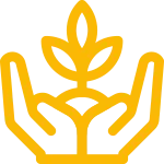 plant copy